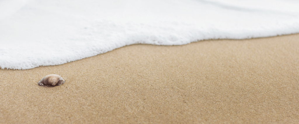 Strand met terugtrekkend water, rustig beeld van essentisme